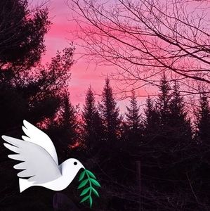 Meet your Posher, Pam